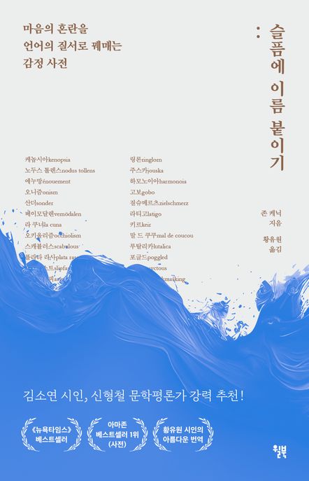 슬픔에 이름 붙이기 (마음의 혼란을 언어의 질서로 꿰매는 감정 사전) 표지