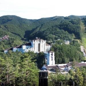 용평리조트 타워 / 숙박세일 강원도 평창 리조트 숙박 숙소