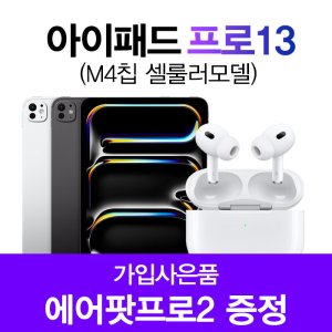 아이패드프로13인치 최저가 가성비상품