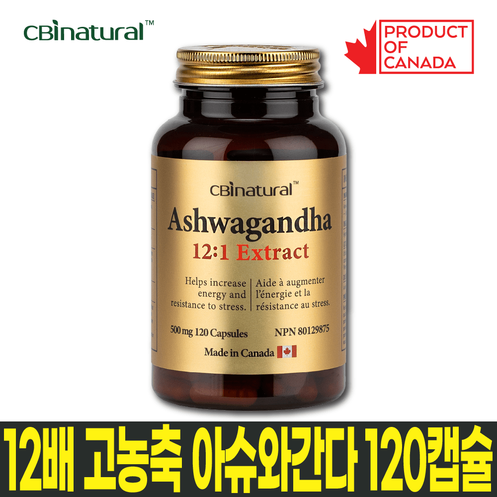 12배 고농축 아슈와간다 500mg 120캡슐 4개월 아쉬와간다