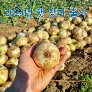 청양고추채장아찌10kg1개 최저가 가성비상품