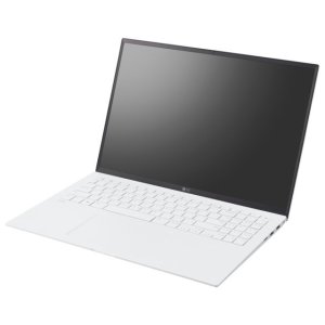 LG전자 그램 16Z90SP-GA5CK WIN11홈 SSD512GB 교체장착 D