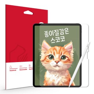 아이패드프로7세대13인치필름 최저가 가성비상품