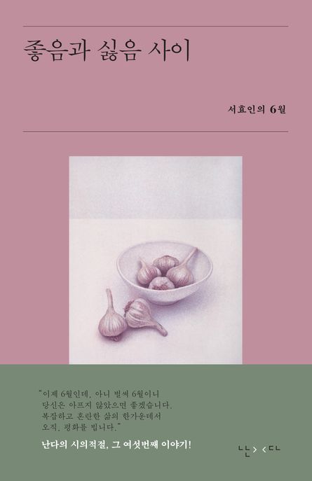 좋음과 싫음 사이 (서효인의 6월) 표지