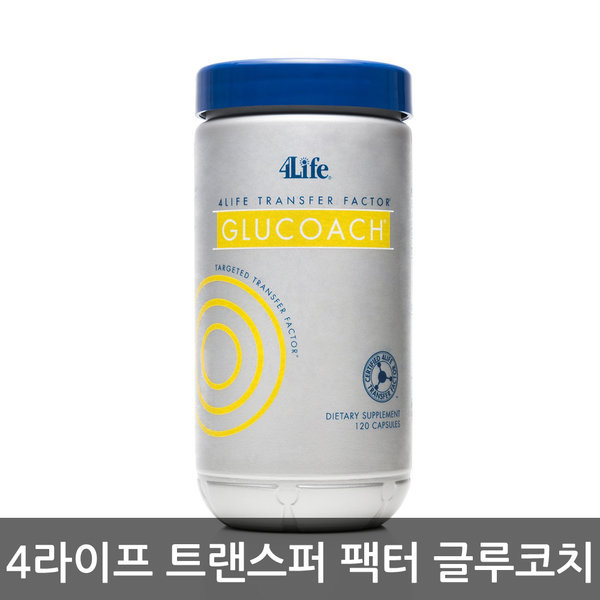 글루코치