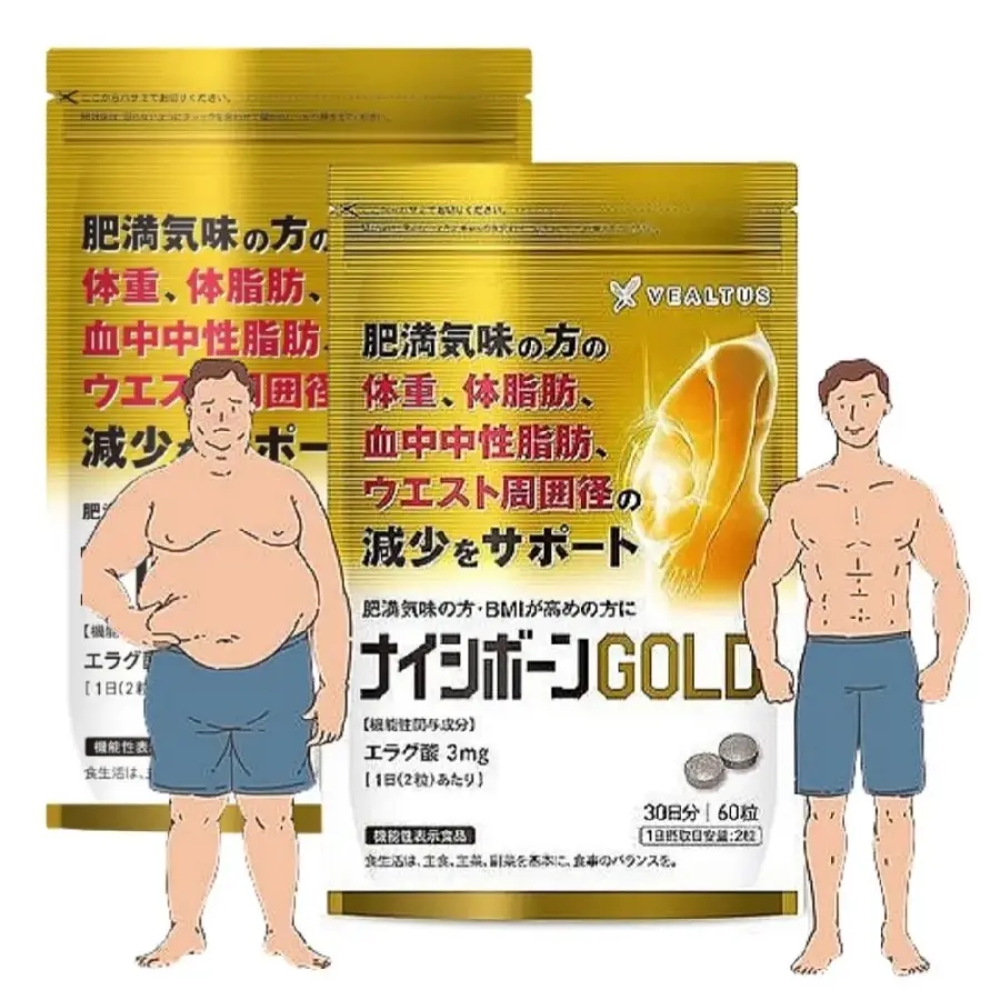 나이시본 골드 60정 2팩세트 <b>방풍통성산</b> 뱃살빼기 서프리먼트 60일분