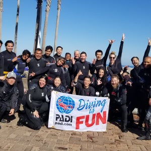 LA의 경이로움을 탐험하세요: PADI 5성 다이브 센터의 오픈 워터 다이버 코스