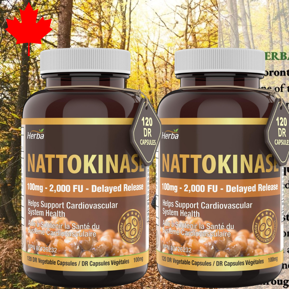 <b>순수 나토키나제</b> 일본 낫토 천연 효소 심장건강 장수비결 효능 2000FU 120정 2개