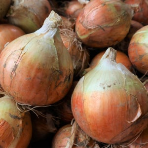 고흥양파 4.5kg 무료배송 행사!