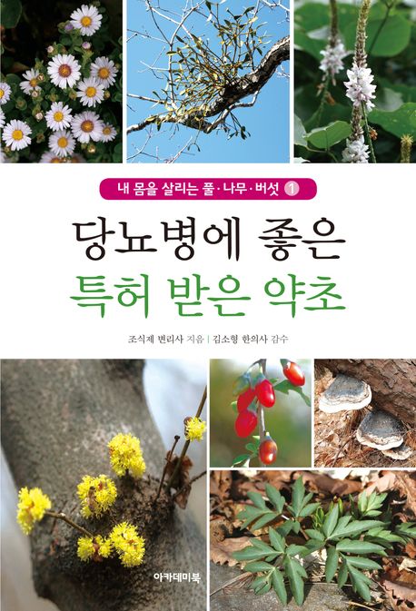 당뇨병에 좋은 특허 받은 우리 약초  표지