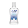 가그린250ml