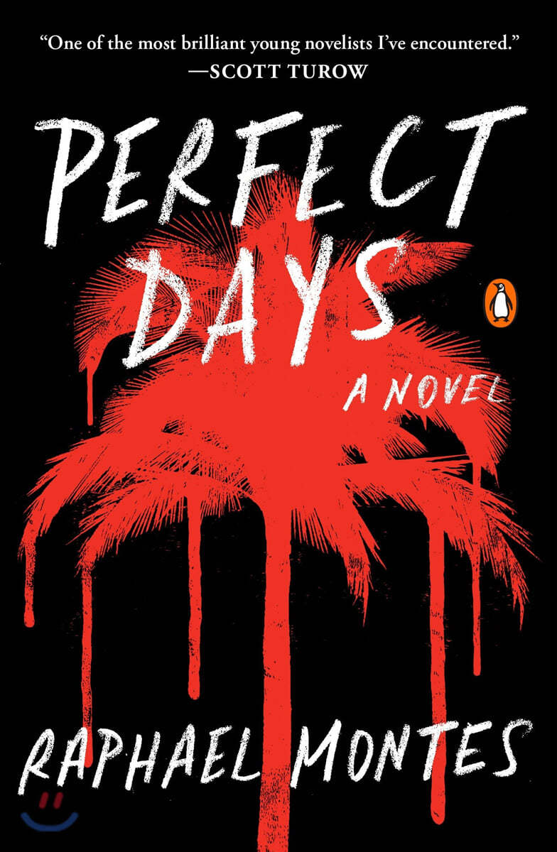 Perfect days : a novel 