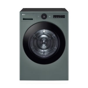 LG 트롬 오브제컬렉션 건조기 RD21GN