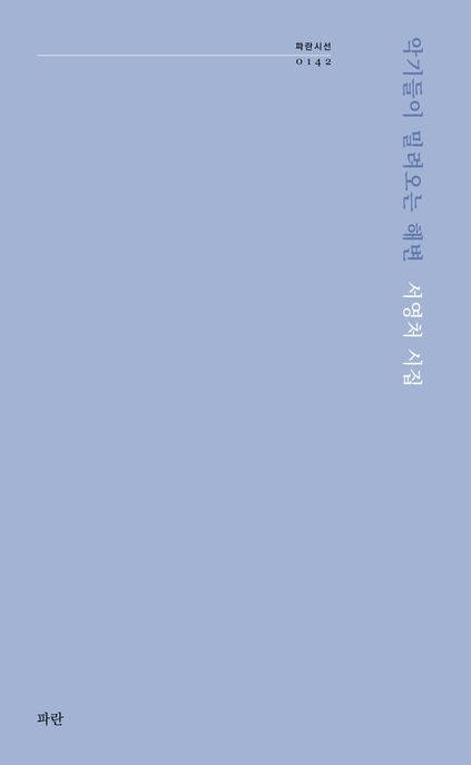 악기들이 밀려오는 해변 (서영처 시집)