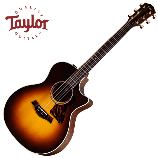 Taylor 테일러 Taylor 어쿠스틱기타 217e-SB Plus LTD 50TH