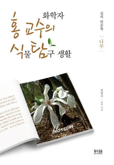(화학자) 홍 교수의 식물 탐구 생활 나무