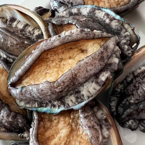 산지 당일출고로 싱싱한 완도 활전복 1kg