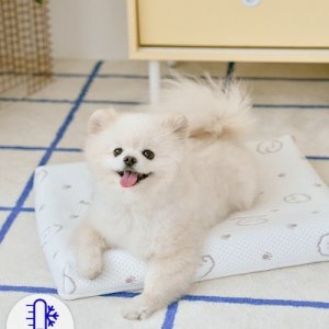 듀라론 히말라야 냉감 메모리폼 펫방석