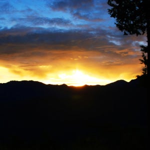 [하나투어] 대만 아리산 합환산 트레킹 4일