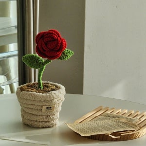 [장미인형] 선물고민해결🌹✨️신상포근식물 ⚆ㅅ⚆*`☆, Lazy nomnom 레이지 놈놈