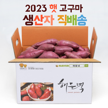 [기타]생산자직배송/ 해들녘 고창황토고구마 10kg  (한입 사이즈)