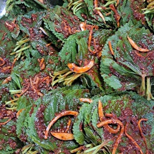 고기짝꿍 깻잎김치 1kg, 해주식당