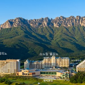 델피노 소노벨리조트(리모델링설악대명) 소노벨 리모델링 패밀리17평(원룸,침대)클린 4인기준