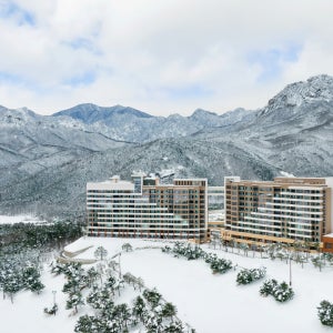 소노펠리체 델피노(설악대명) [룸온리/취사] 실버스위트(방2) 파노라마뷰 6인기준~최대9인