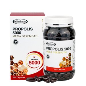 propolis5000 최저가 가성비상품