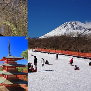 후지산일일투어 최저가 가성비상품