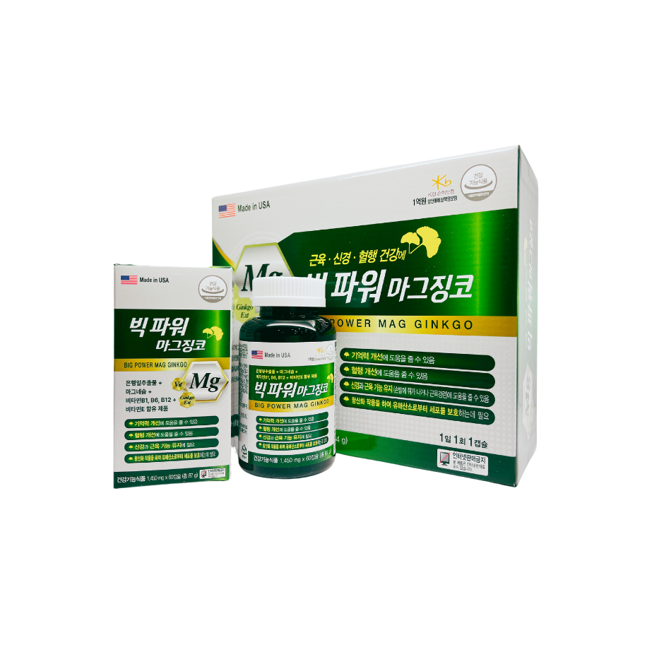 빅 파워 마그 징코