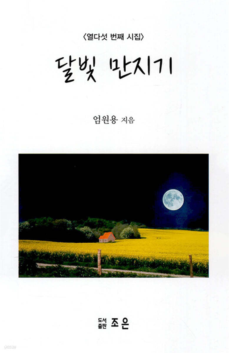 달빛만지기:열다섯번째시집