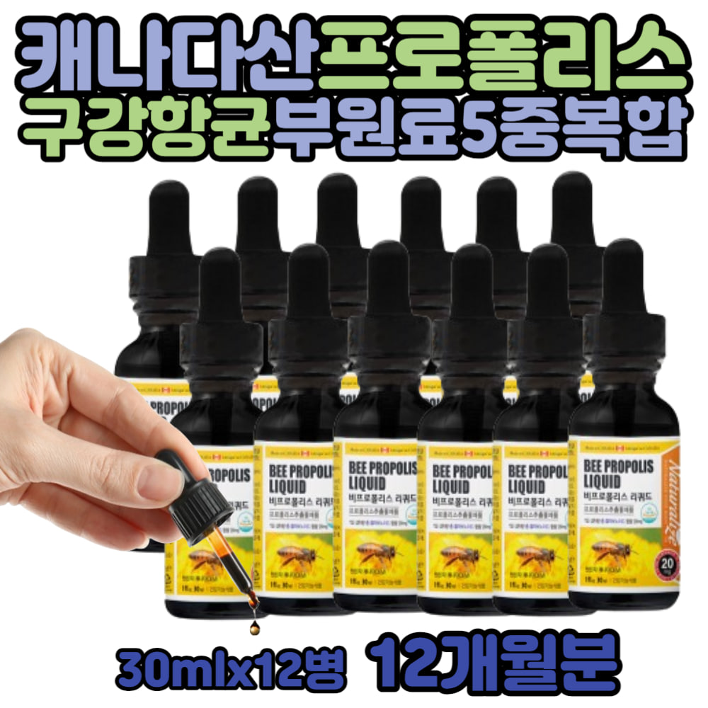 프로폴리스리퀴드 수험생 황산화 항산화 포리폴리스 고3 청소년 수용성 비 프로폴리스 액 스포이드 사용법 사과산 중학생 어린이 락토바실러스 퍼멘텀 BEEPROPOLIS 녹차 마늘 추출