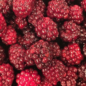 활용도 높은 새콤달콤 고창 슈퍼복분자 1kg