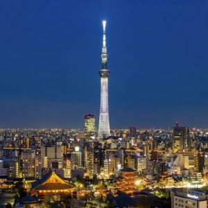 [운전기사포함] 도쿄 - 도쿄 디즈니랜드/후지산/가루이자와/나가노/니가타 등 프라이빗 차량투어