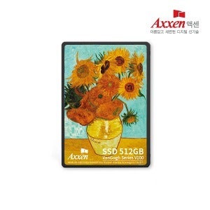 액센 V100 SSD Van-Gogh Series 512GB