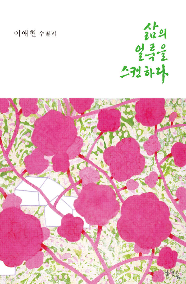 삶의얼룩을스캔하다:이애현수필집