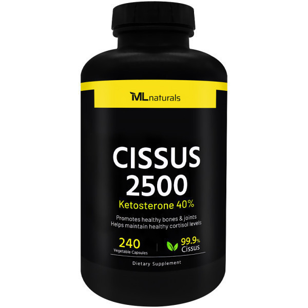 마이라이프내추럴스 마이라이프 시서스 <b>Cissus</b> 2500 240 야채캡슐