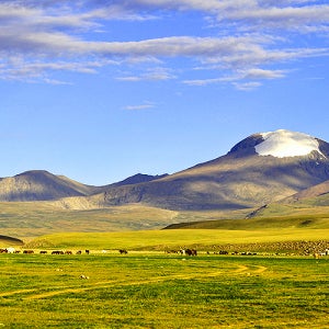 3박4일 지방출발 몽골여행 내몽고 노쇼핑 혼자여행 별빛감성 전통게르 엄마랑 연휴여행