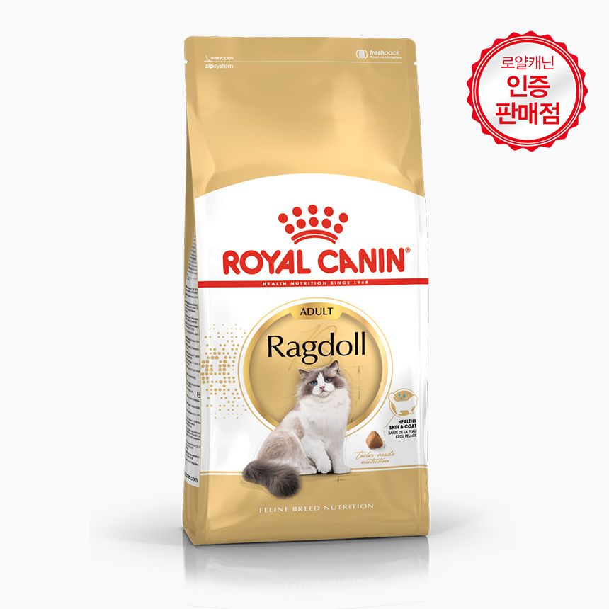 Ragdoll Cat (랙돌 고양이)