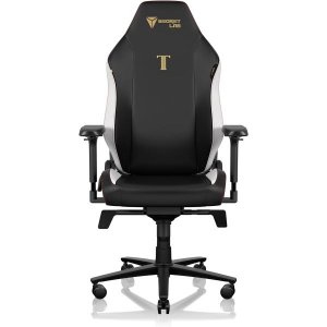 Secretlab TITAN Evo 클래식 게임 의자(R 사이즈) PU 가죽 Secret Lab 책상 의자 사무실 게임 인체 공학 PC 요추 지지대 4D 팔걸이 게임  보라