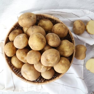 친환경팔도 사시사철 맛좋은 우리땅 햇 감자(대) 10kg