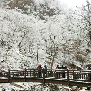 가을 설악산 주전골 단풍 기차여행 당일여행