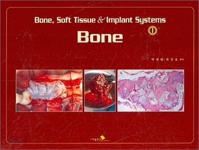 Bone