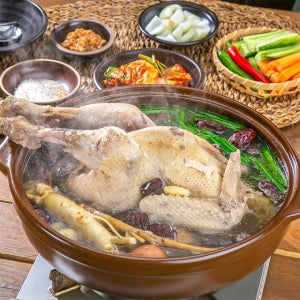 산속에서 뛰어놀던 우리 토종닭 18호