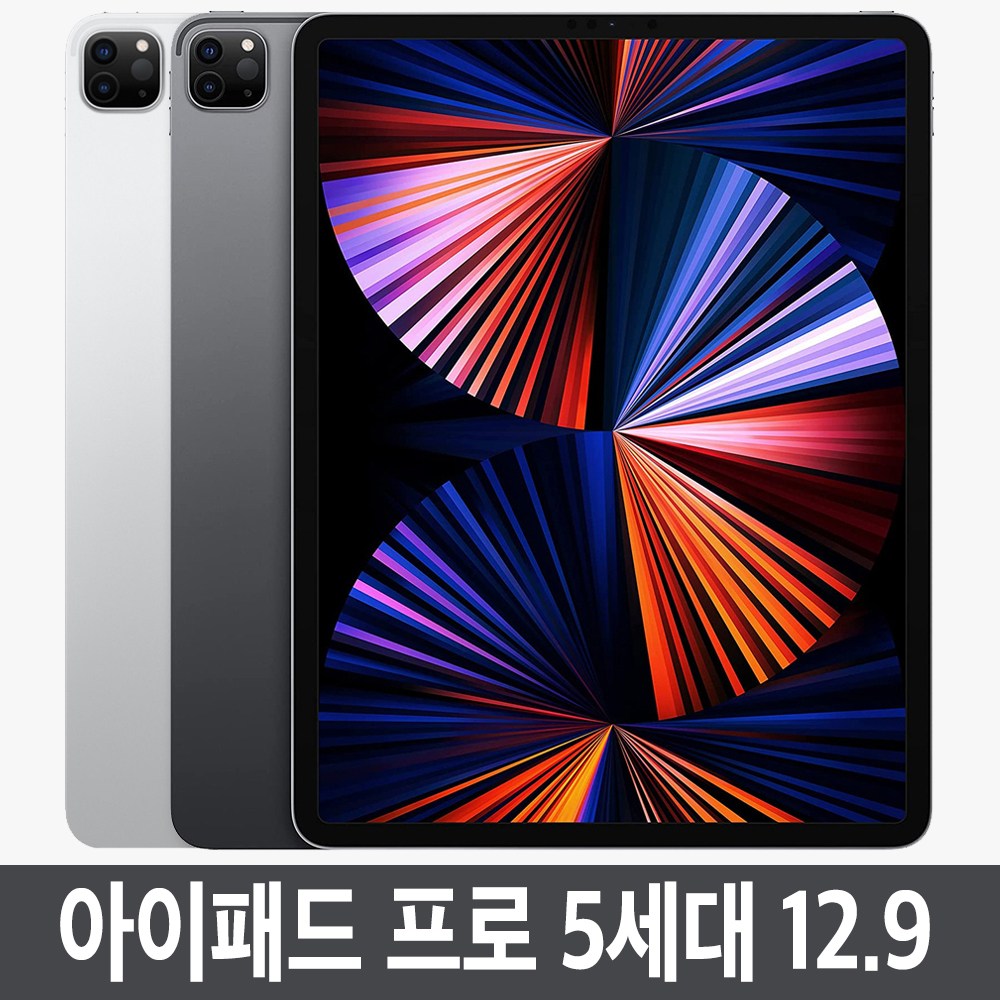 Apple 아이패드 프로 2세대 12.9 (2017) WiFi 512GB