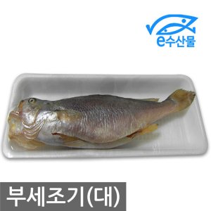 부세조기 최저가 가성비상품