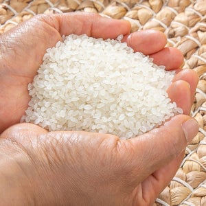 해풍이 좋은 청정지역 강화섬쌀