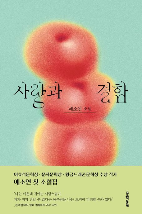사랑과 결함 표지