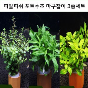 피알피쉬 마구잡이 포트수초 3종세트 / 구피 새우 치어 은신 어항 수족관